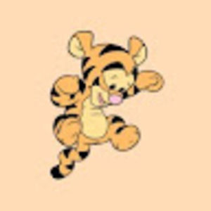 Meet your Posher, Raye